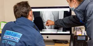 vets looking at x ray of a horse's joint