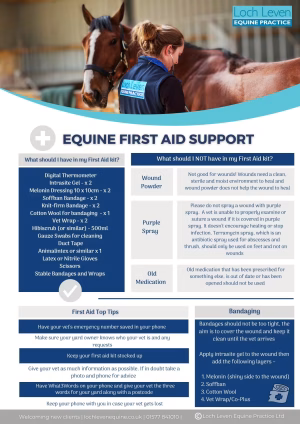 Loch Leven Equine Practice First Aid Support Client help sheet